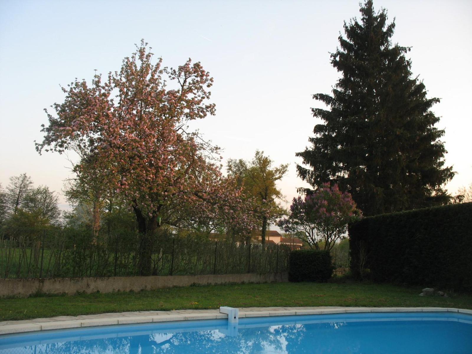 Apartamento La Ferme Du Nizon Valeille Exterior foto